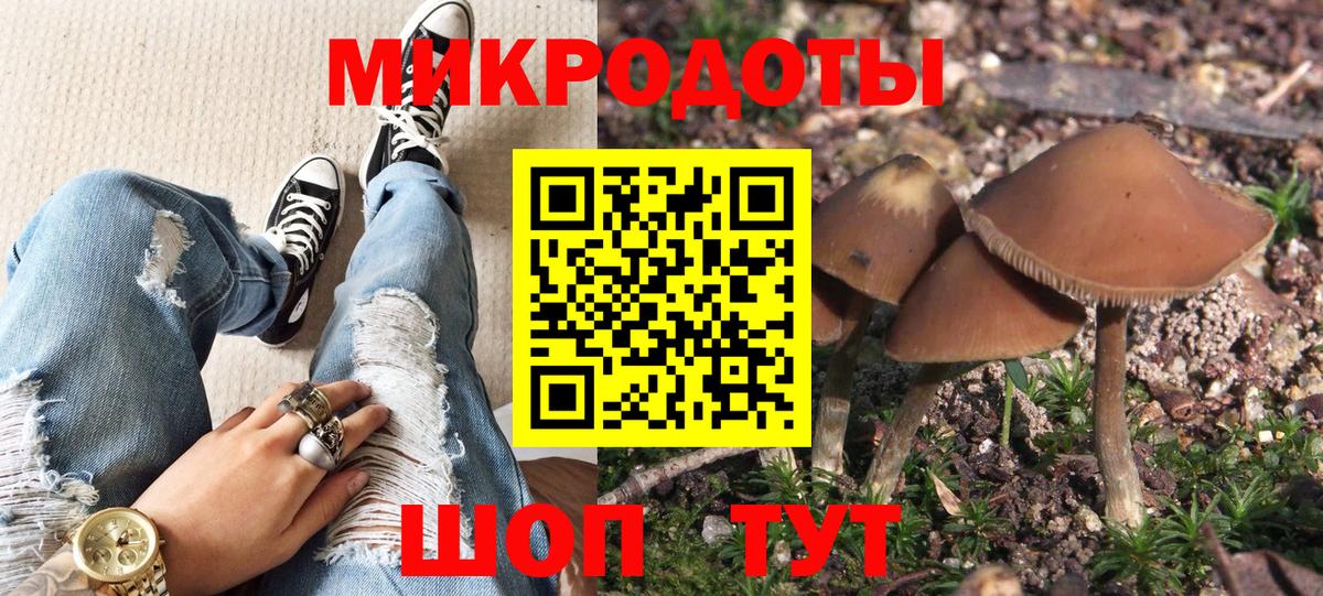 Псилоцибиновые грибы мухоморы Таганрог