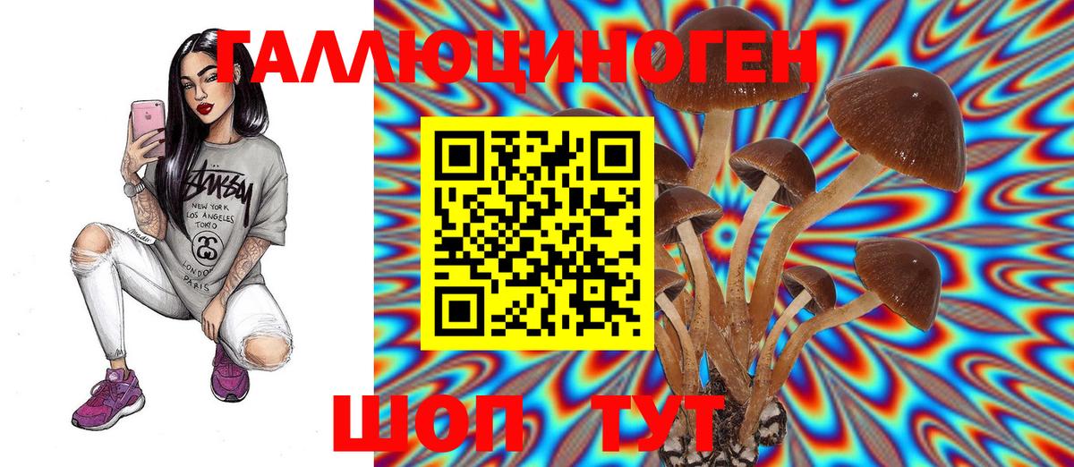 Галлюциногенные грибы Psilocybe  Вход с VPN  Таганрог 